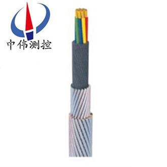 承荷(he)探測電纜