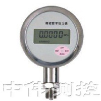 精密數字壓力錶