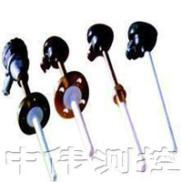 高溫防腐(fu)熱(re)電偶